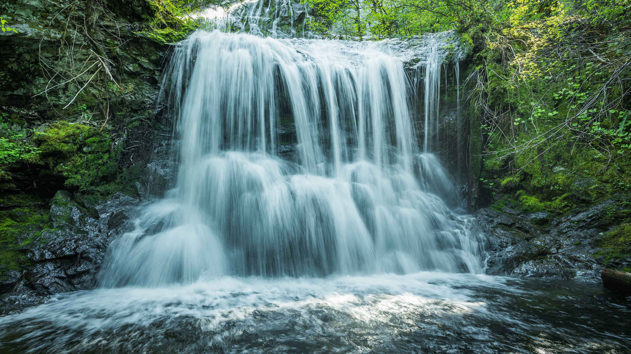 Water Falls in the Forest