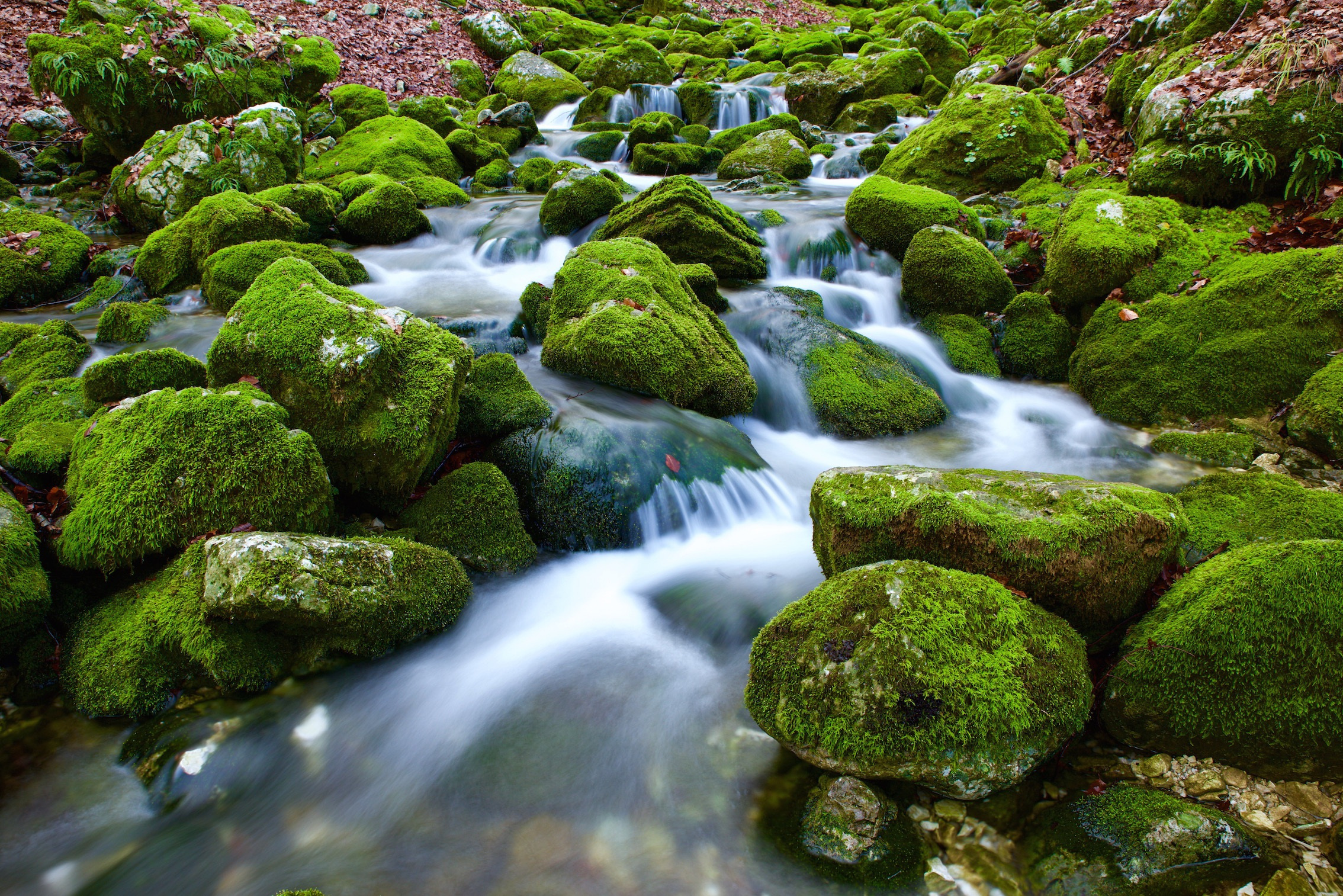 Water Streaming Through Rocks