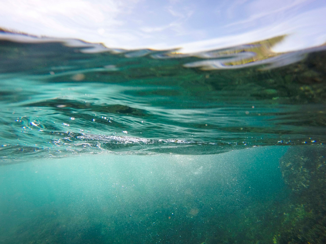 Under Water Photo